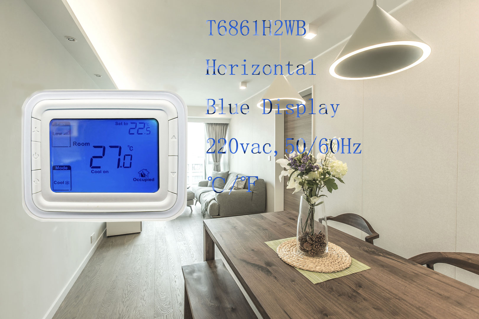 1576647960123980.jpg T6861-Blue-display.jpg