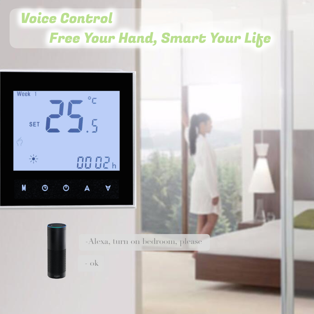 thermostat alexa.jpg
