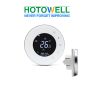Smart 240v Thermostat