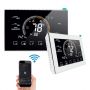 2 Stage Programmable Thermostat