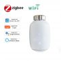 Versión Bluetooth o Zigbee Actuador TRV inteligente Cabezal de válvula de radiador termostático Funciona con la aplicación Tuya