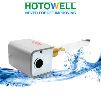 Flow Switch