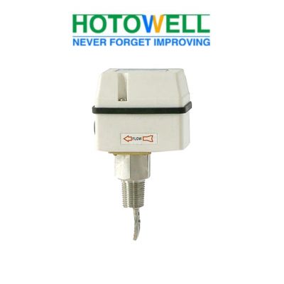 Flow Switch