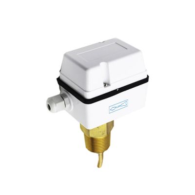 Flow Switch,Water Flow Switch