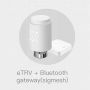 Válvula termostática de radiador Tuya ZigBee Smart App Control TRV Termostato