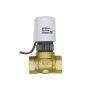 thermal valve
