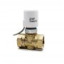 thermal valve