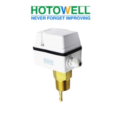 Water Flow Switch
