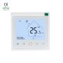 Smart Thermostat Boiler Heating Thermostat Touch Panel Child Lock Function Hotowell HT03
