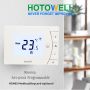 Hotowell F13 LCD Digital Programmable Modbus Button Surface Mounted Thermostat