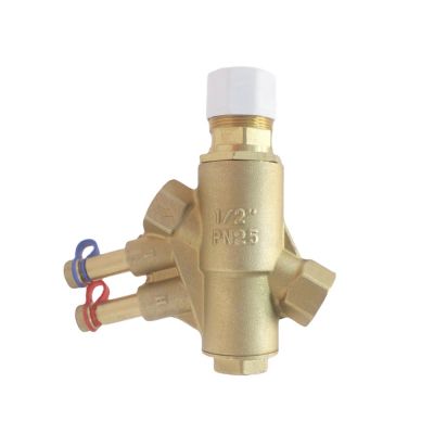 Bsp G Female Thread Brass Material Pressure Independent Balance Control Valve